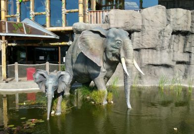 Dschungelland Elefant
