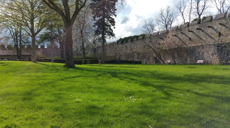 Innenhof der Burg Creuzburg