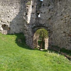 Ruine der Brandenburg